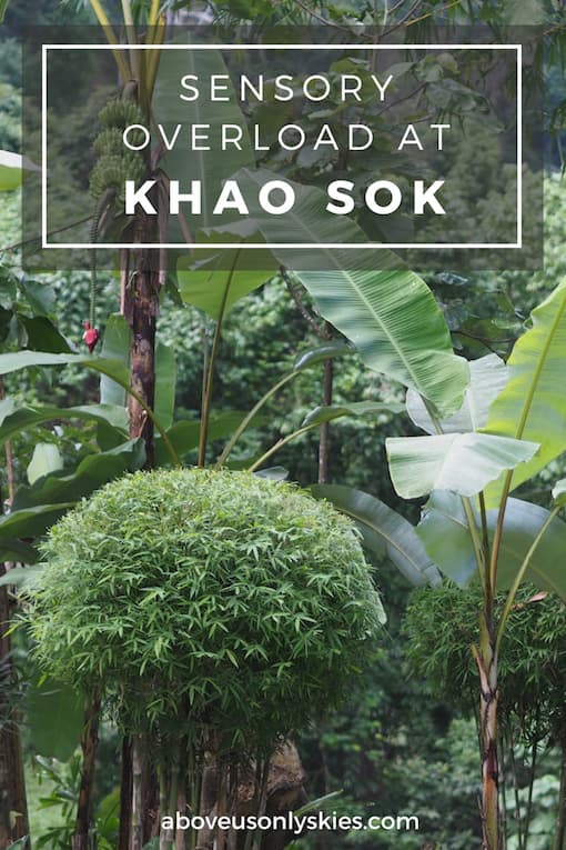 SENSORY OVERLOAD AT KHAO SOK..