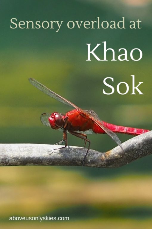 Sensory overload Khao Sok e1503687928354