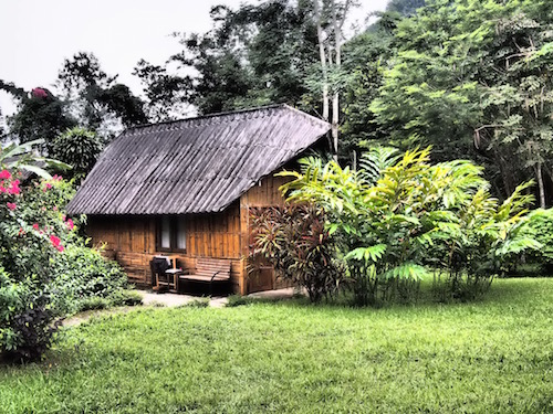Chiang Dao Nest 2