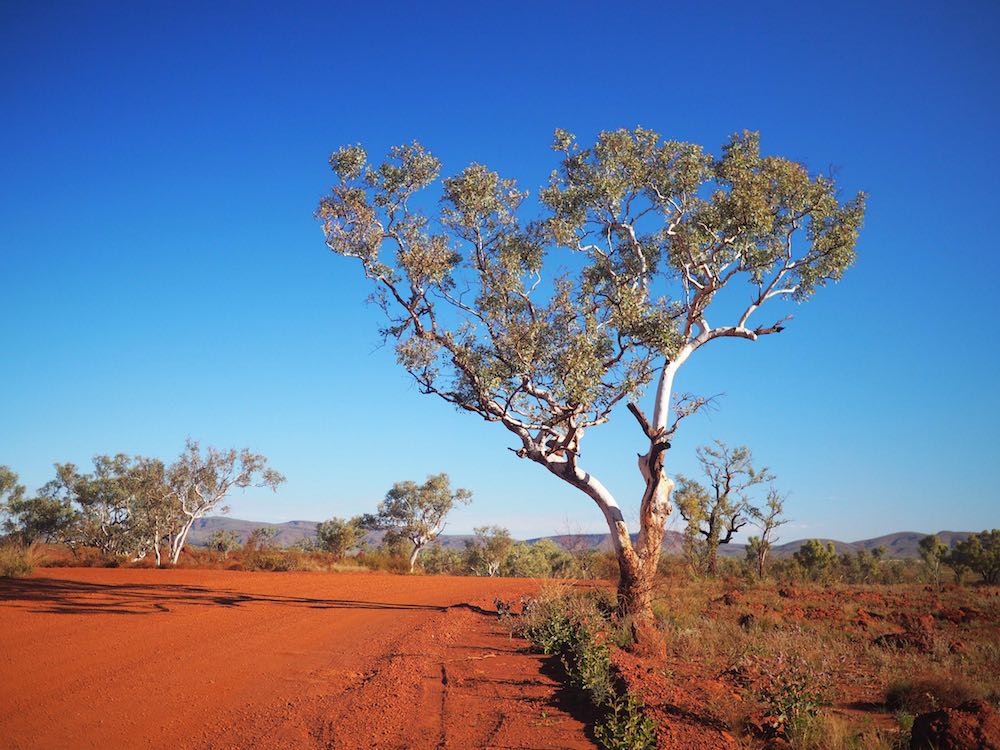 A red dirt road contrasts with a clear blue sky