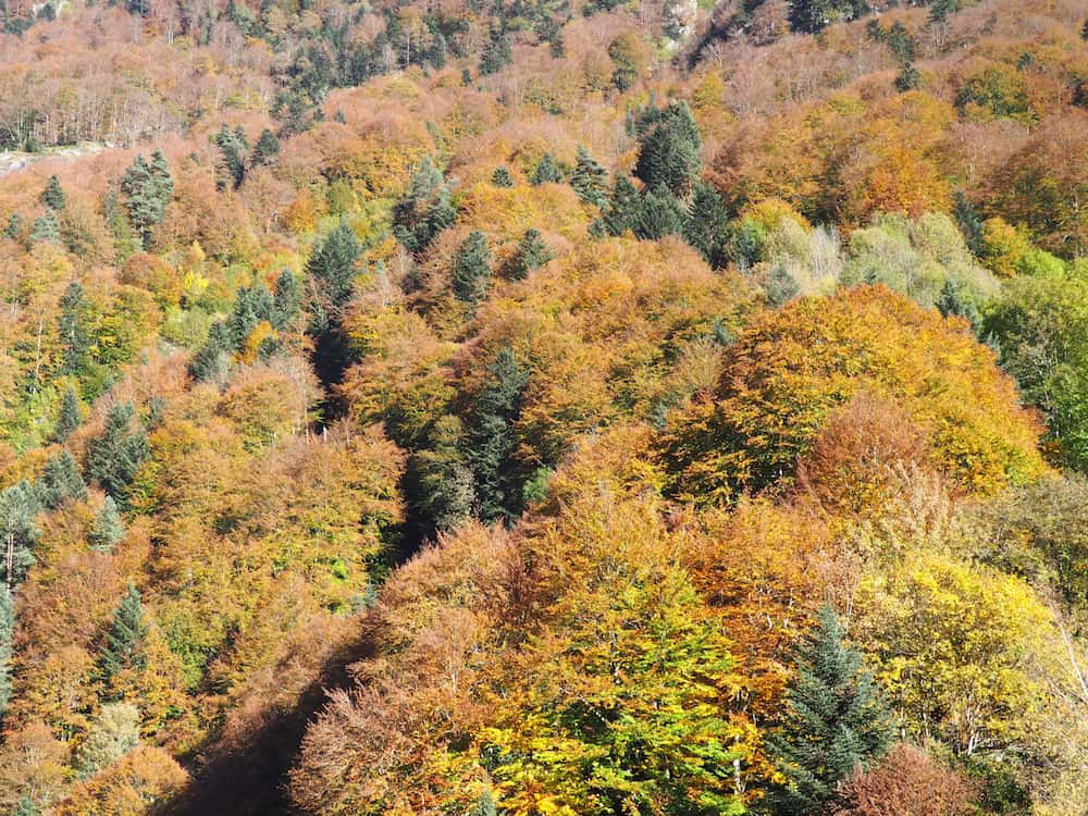 The French Pyrenees - Autumn colours at the Pont d’Espagna