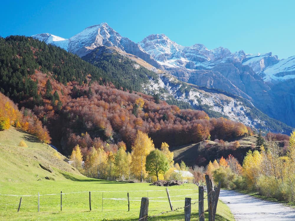 The Blazing Autumn Colours Of The French Pyrenees