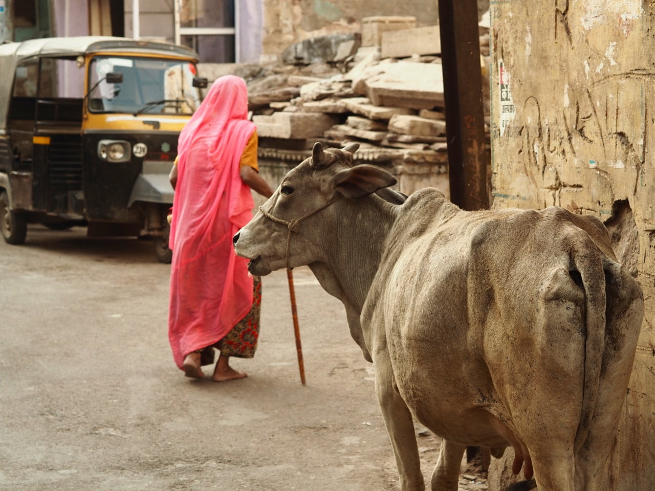 A cow a sari and a rickshaw Bundi