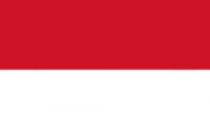 INDONESIA FLAG