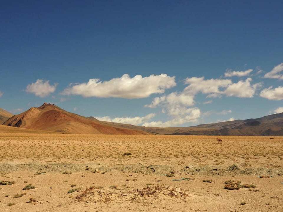 Desert landcape