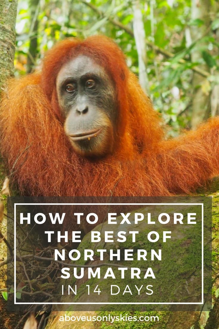 It can be a challenge to travel around wild and rugged northern Sumatra - but here's a 14-day itinerary designed to explore the best it has to offer #sumatra #sumatratravel #indonesiatravel #BandahAcehTravel #orangutan #ResponsibleTravel #TravelItinerary