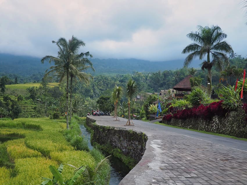 Jutiluwih rice fields Bali.