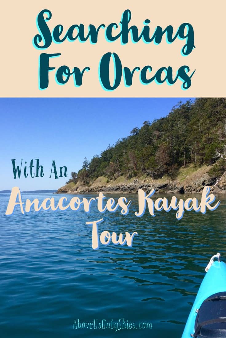 Number one on our Washington State wildlife wishlist was to come face-to-face with a killer whale - and with a resident population of orcas, an Anacortes kayak tour was an obvious choice #AnacortesKayakTours #SanJuanIslands #SeaKayaking #ExploreWashingtonState