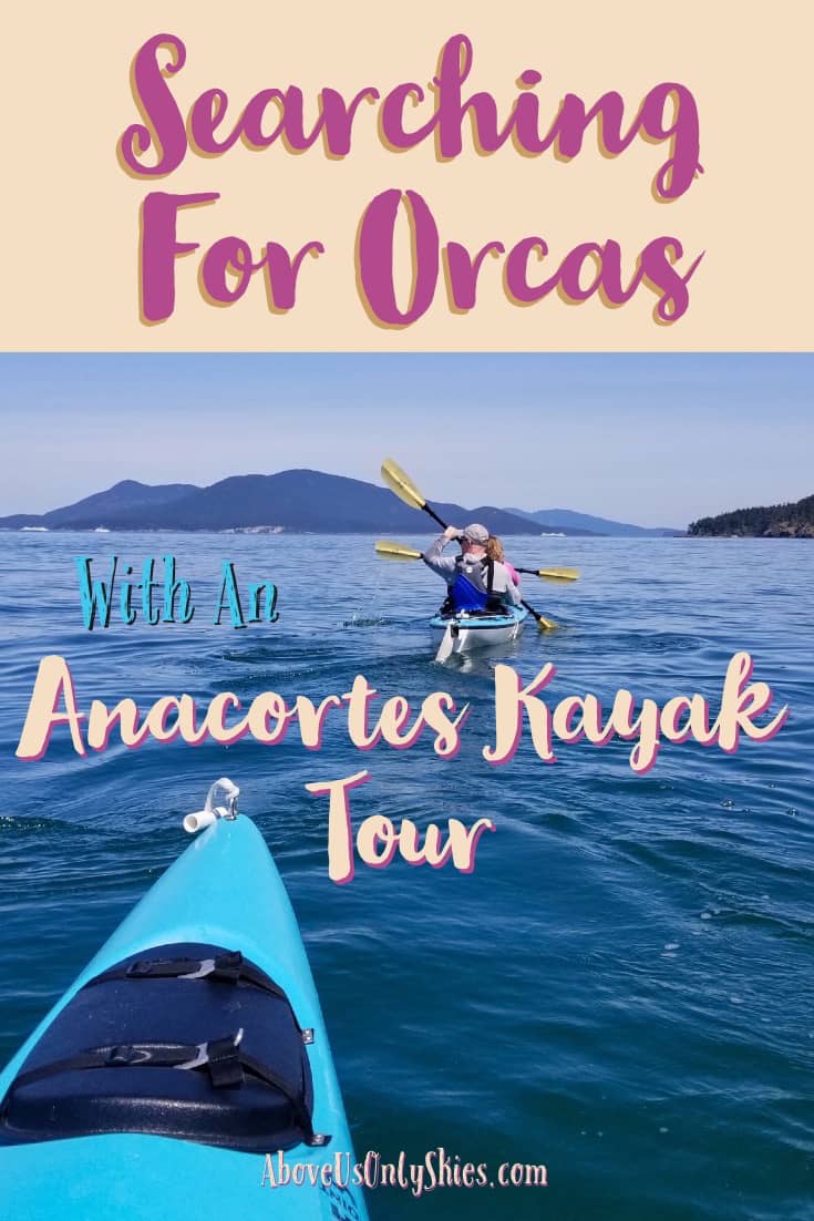 Number one on our Washington State wildlife wishlist was to come face-to-face with a killer whale - and with a resident population of orcas, an Anacortes kayak tour was an obvious choice #AnacortesKayakTours #SanJuanIslands #SeaKayaking #ExploreWashingtonState
