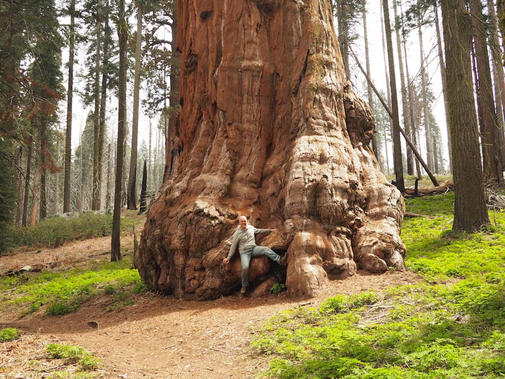 Crescent Meadow Sequoia National Park Ian