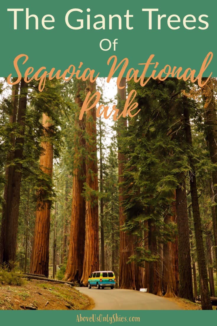 Home to the world's largest tree, California's Sequoia National Park is truly a Land Of Giants - here's our guide on how to see the best of what it has to offer #travelUSA #SequoiaNationalPark #RoadTripUSA #CaliforniaTravel #USANationalParks