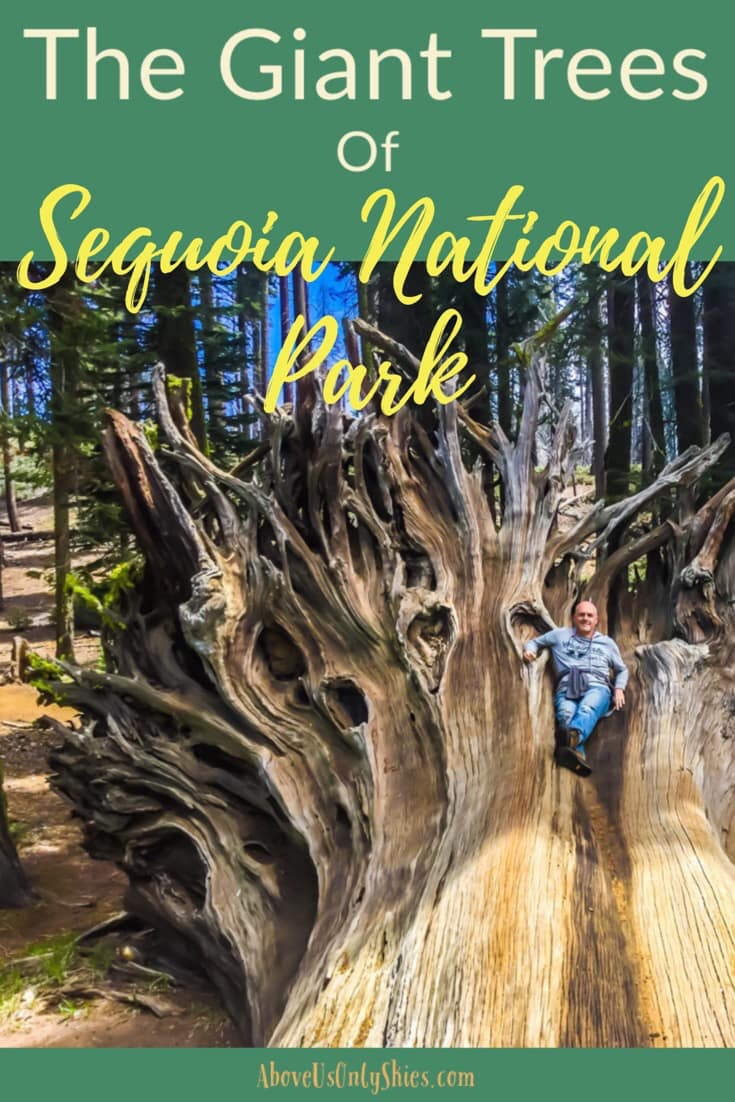 Home to the world's largest tree, California's Sequoia National Park is truly a Land Of Giants - here's our guide on how to see the best of what it has to offer #travelUSA #SequoiaNationalPark #RoadTripUSA #CaliforniaTravel #USANationalParks