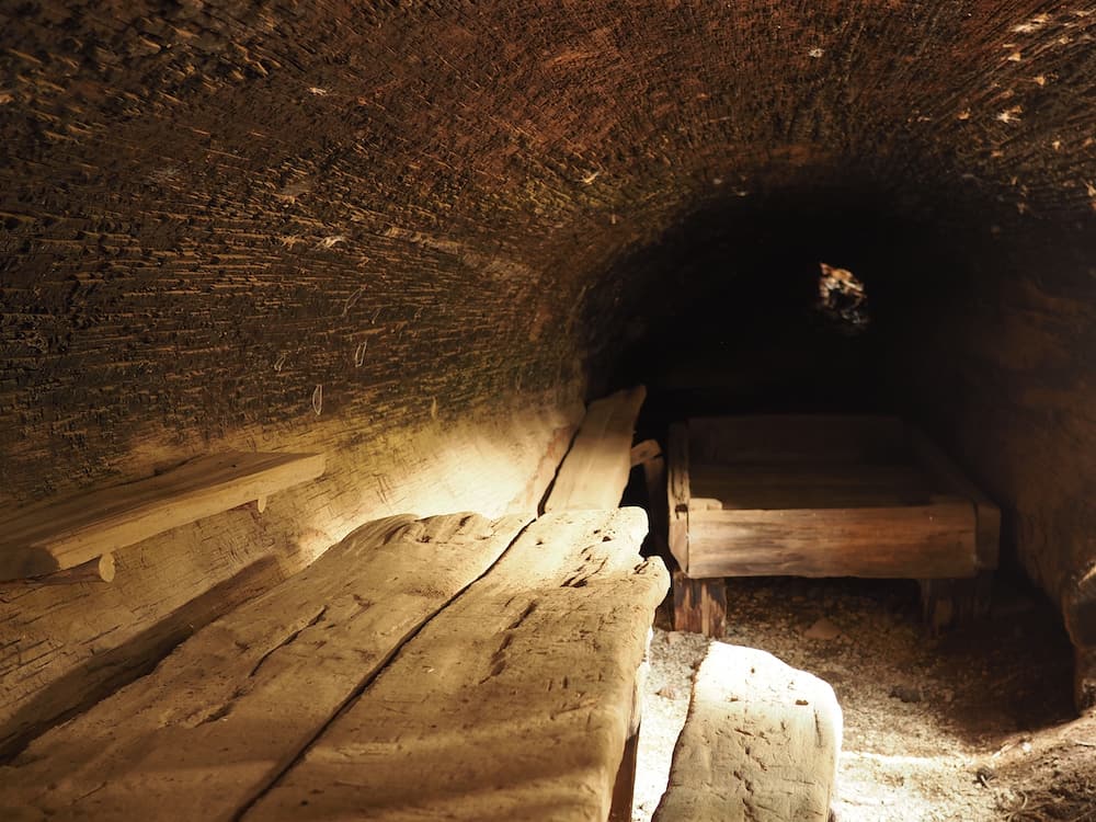 Inside Tharp's Log, Sequoia National Park