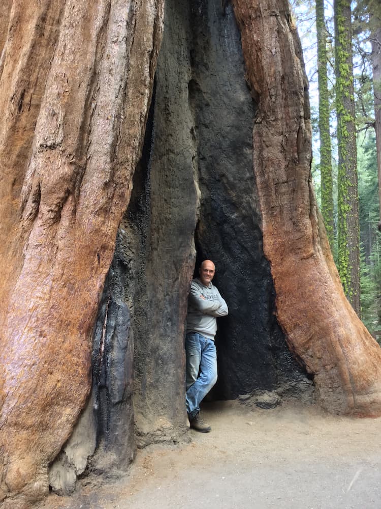 The Twins Sequoia National Park