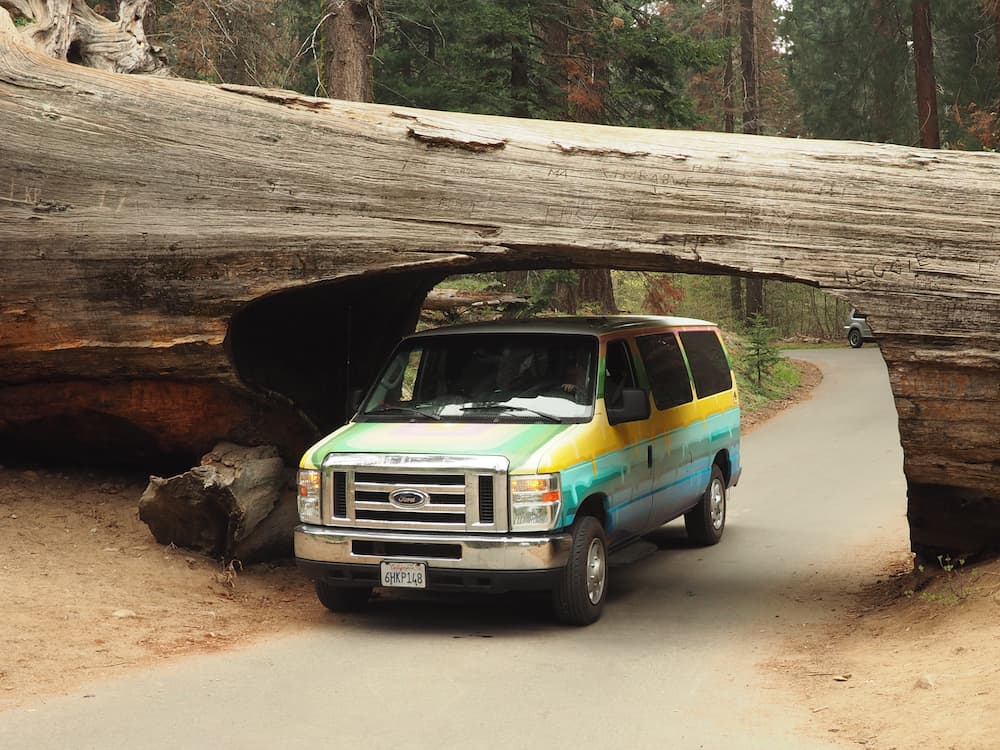 Tunnel Log, Sequoia National Park