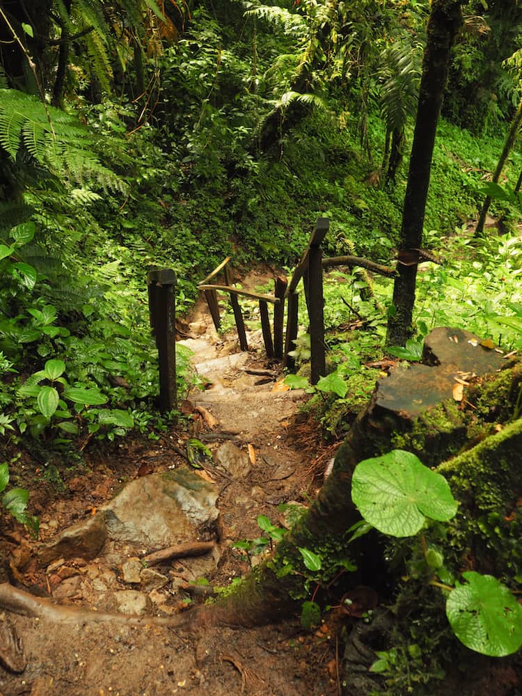 Steps down to Waterfall 1