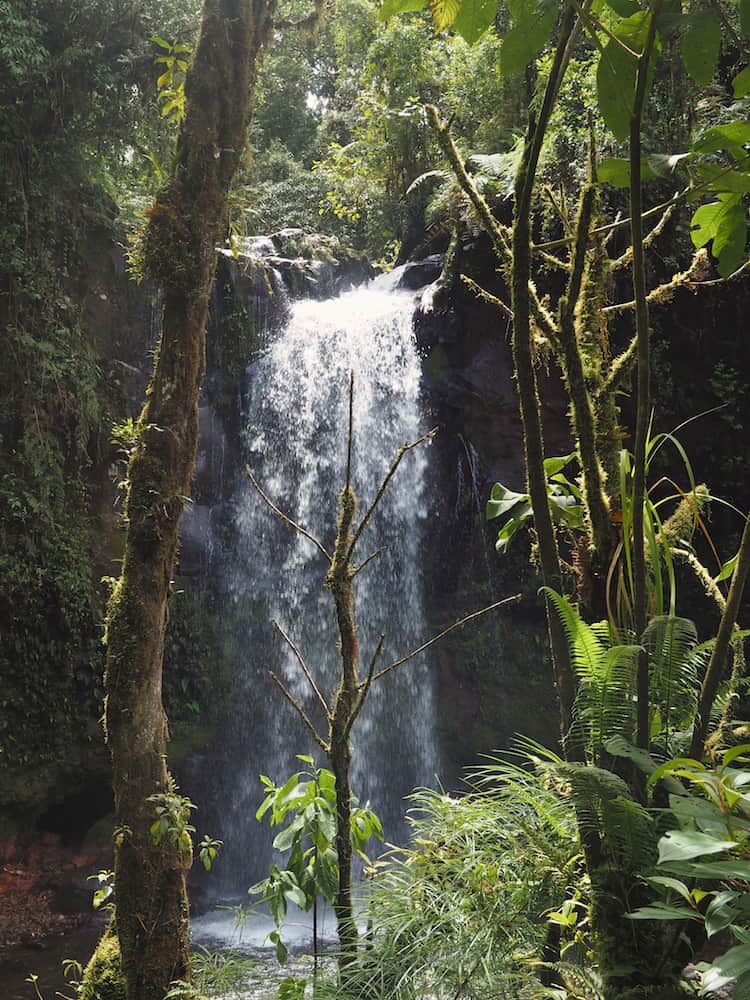 Waterfall 2