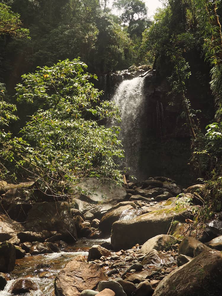 Approaching Waterfall 2