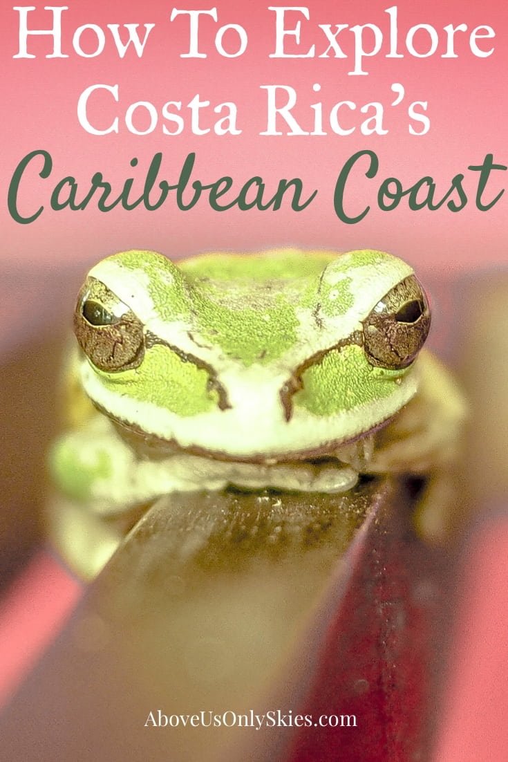 A relaxing visit to Costa Rica’s Caribbean Coast means you can enjoy the delights of both rainforest and beach. In our guide we show you how to get the best out of this area which is teeming with biodiversity. See sloths, monkeys and poison dart frogs all in their natural habitat. #couples #sloths #caribbeancoast #costaricatravel 