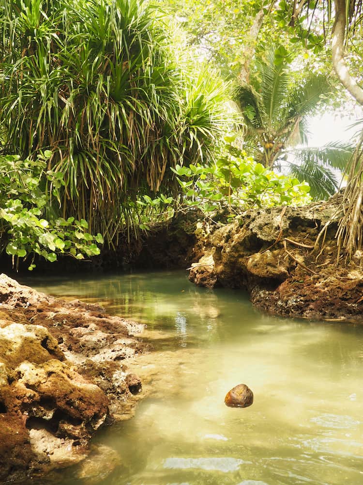 The natural pool at Piscina Natural, Cahuita