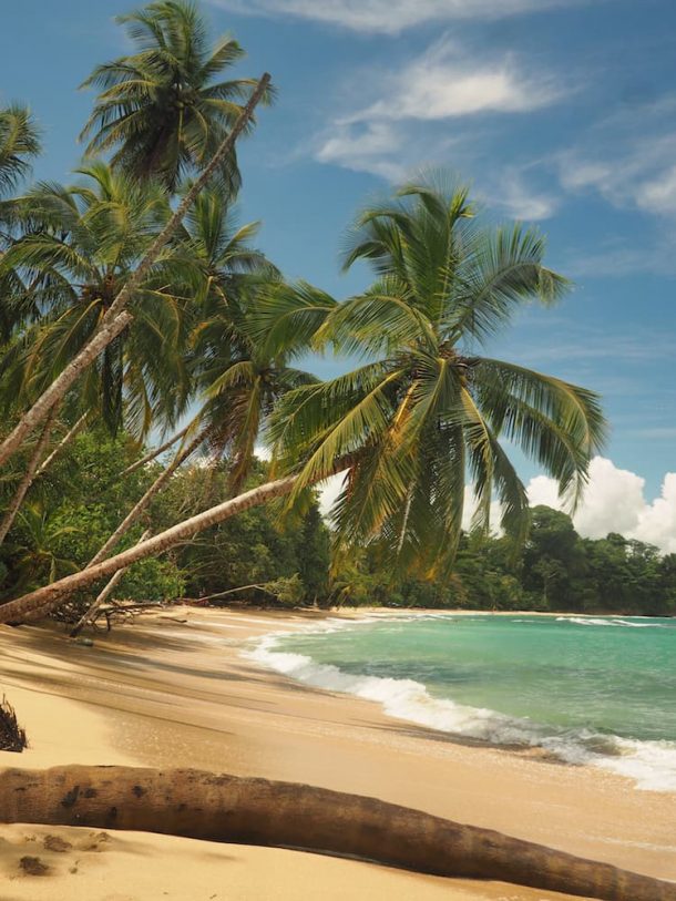 How To Explore Costa Rica's Caribbean Coast