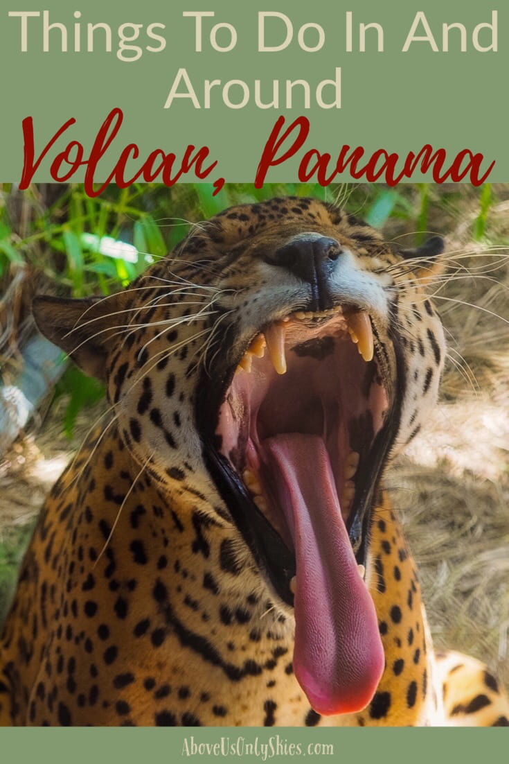 Volcan in the Chiriqui Province, Panama is a quiet, romantic town set in the foothills of Mount Baru offering fantastic hikes, glorious views and some of the best coffee in the world. Just an hour's drive from Boquete, check out our perfect guide. #mountbaru #volcanbaru #boquete #geishacoffee #sloths