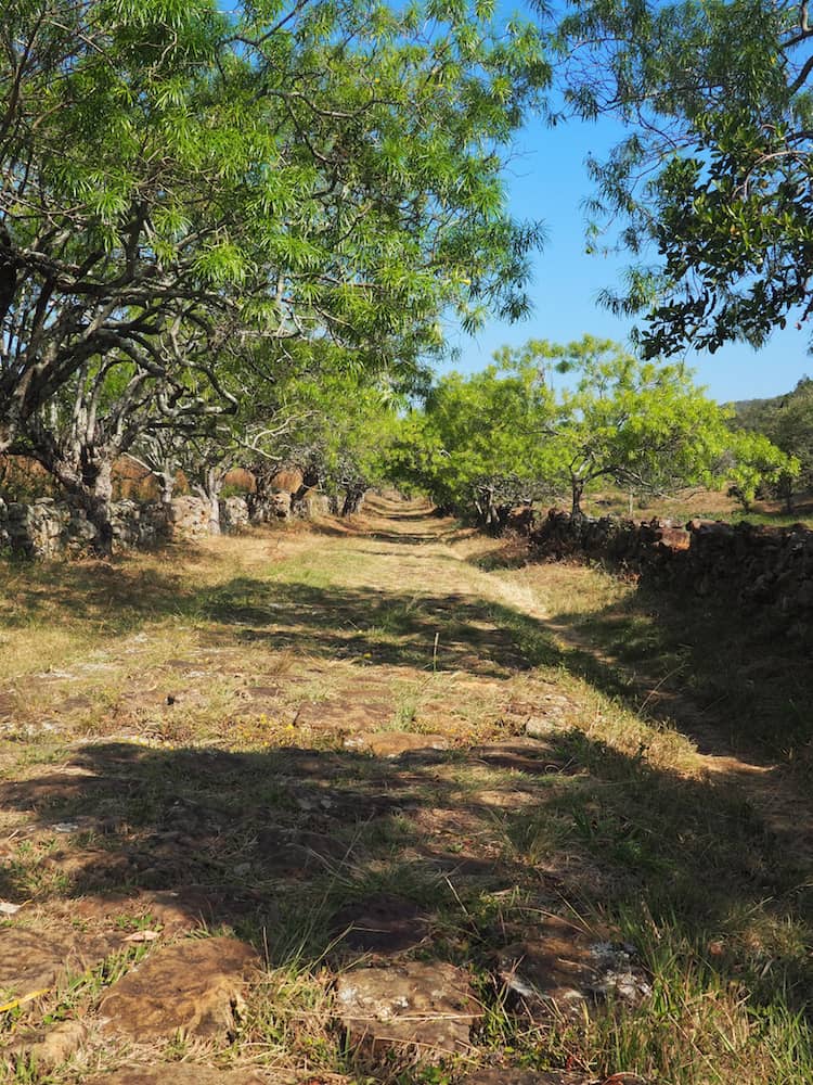 El Camino Real - footpath down to Guane