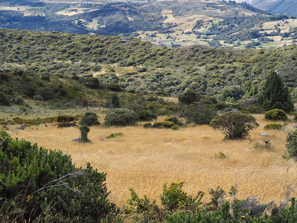 View from the Páramo de Ocetá trek