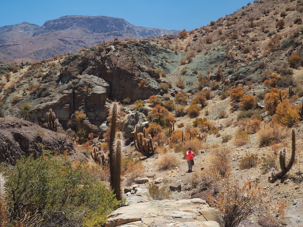 Nicky standing amidst the colourful hills of the Sierra Trail