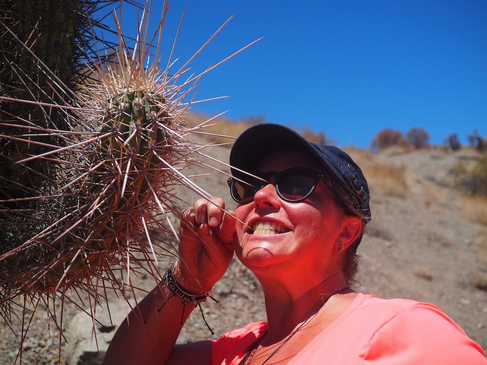 Nicky uses cactus as a tooth pick
