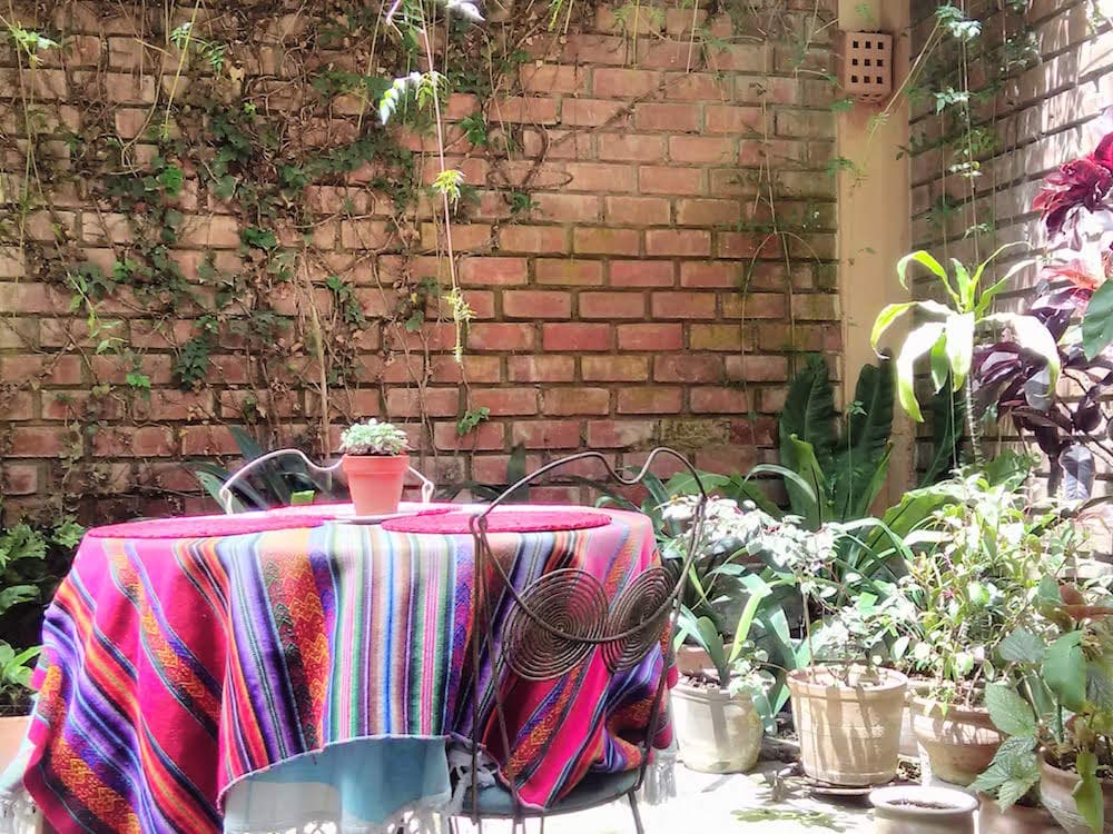 Patio garden at the Airbnb