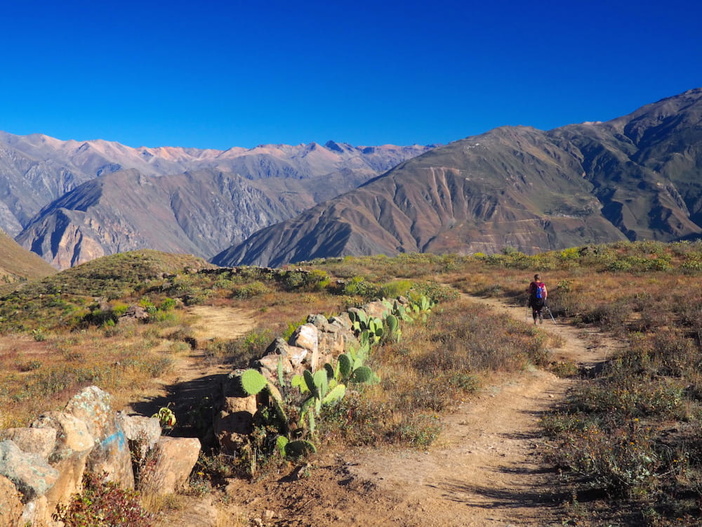 The beginning of the trail to Llahuar
