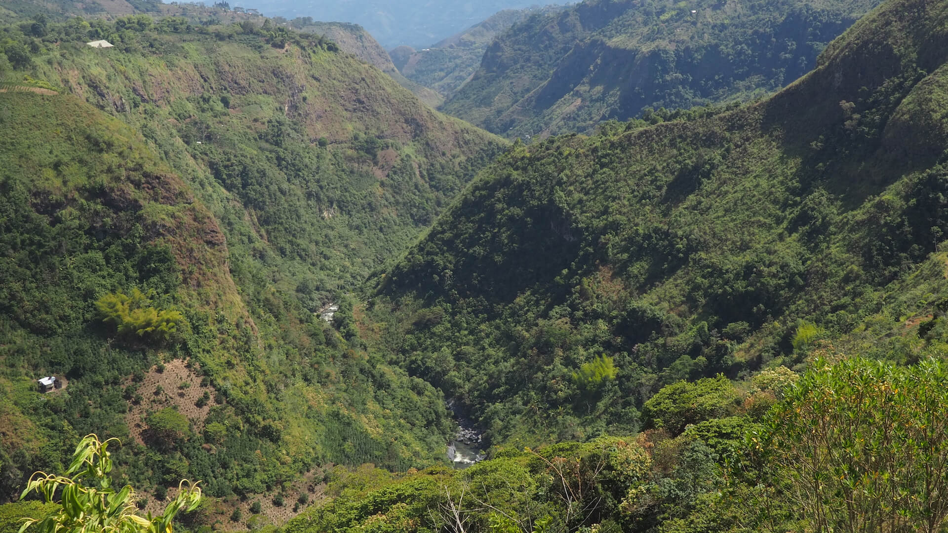 Forested hillsides descending into a valley with a river at the bottom