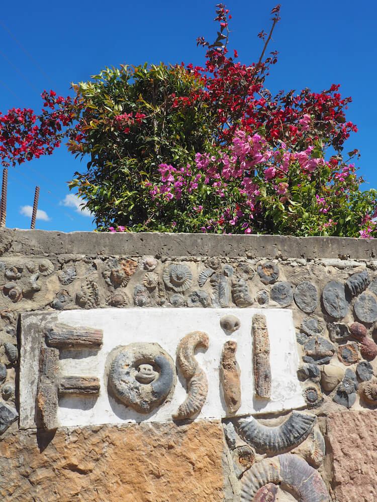 Sign at entrance to Museo el Fosil