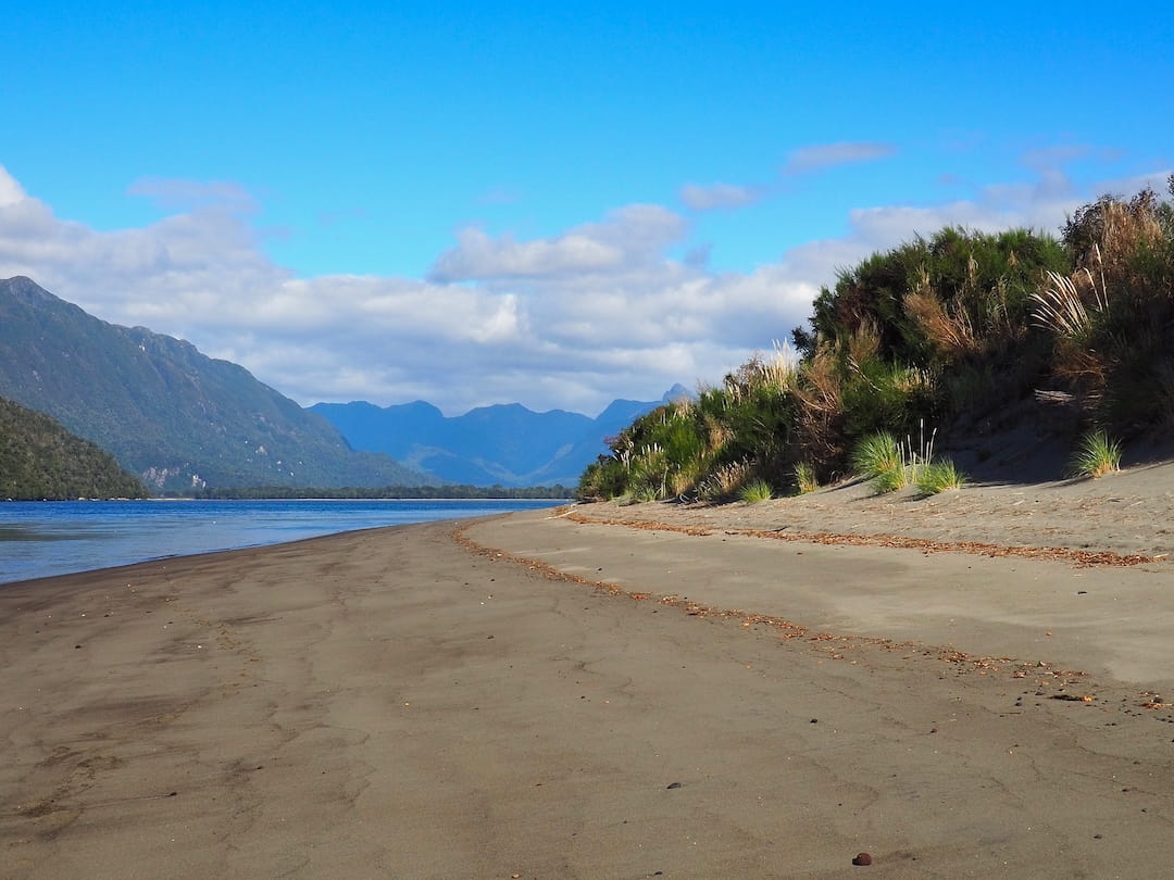 Dolphin Beach, Puerto Raul Marin Balmaceda