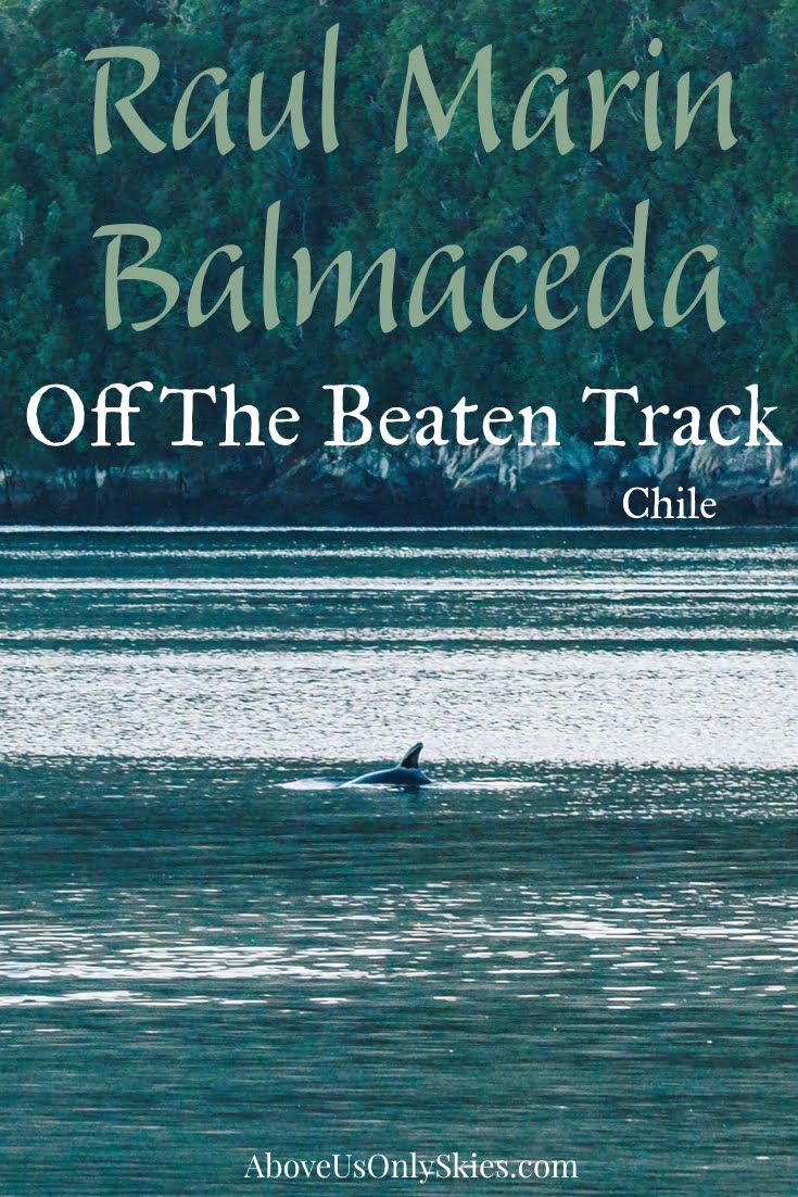 Exploring the fiords, virgin rainforest and sandy beaches of Puerto Raul Marin Balmaceda is a great diversion from Chile's Carretera Austral. Here's why #chile #patagonia #southamerica #patagoniaroadtrip #offthebeatentrack #chiletravel #travelphotography