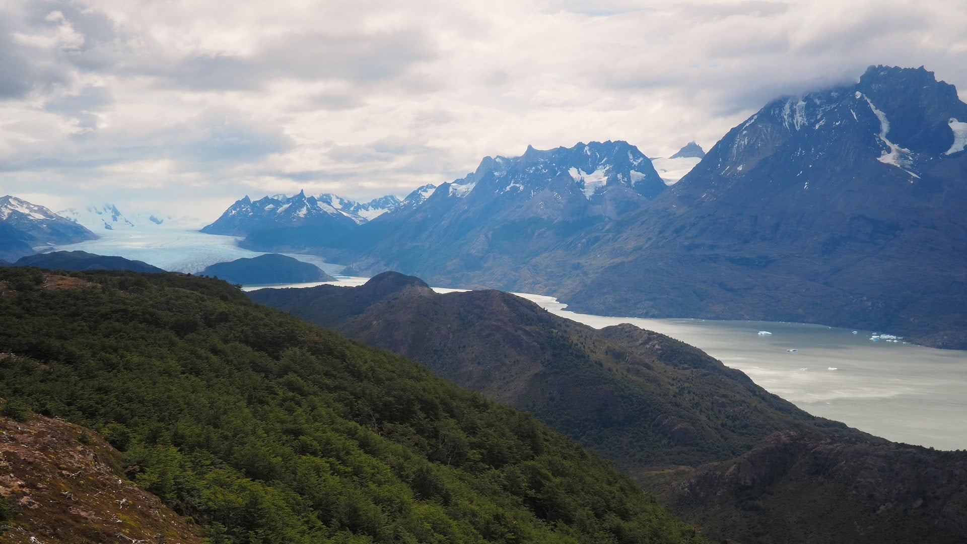 View of Lago Grey and Grey Glacier from the Mirador Ferrier