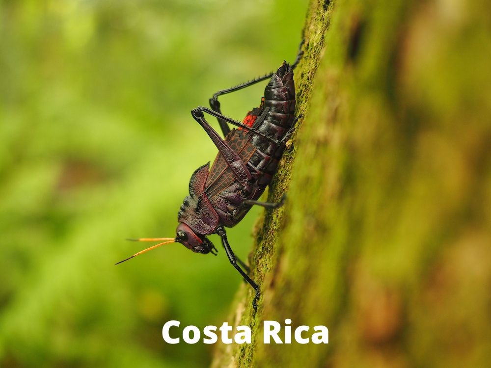 Costa Rica South America