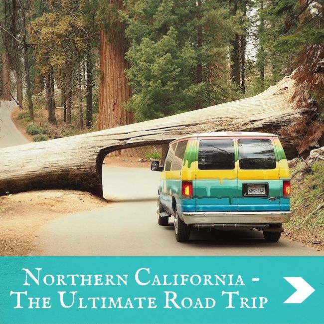 USA - California Road Trip
