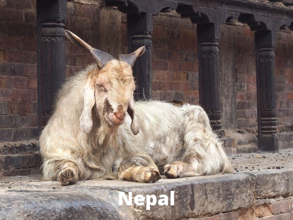Nepal Asia