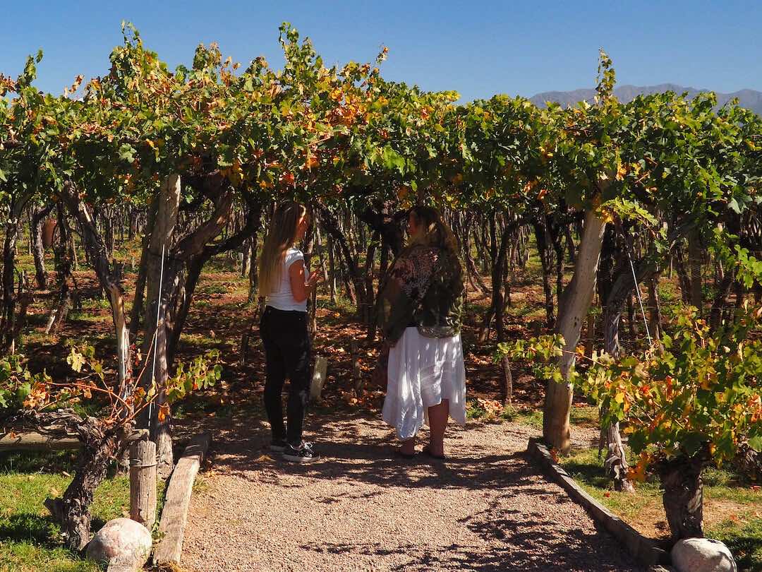 Wine tasting in Mendoza