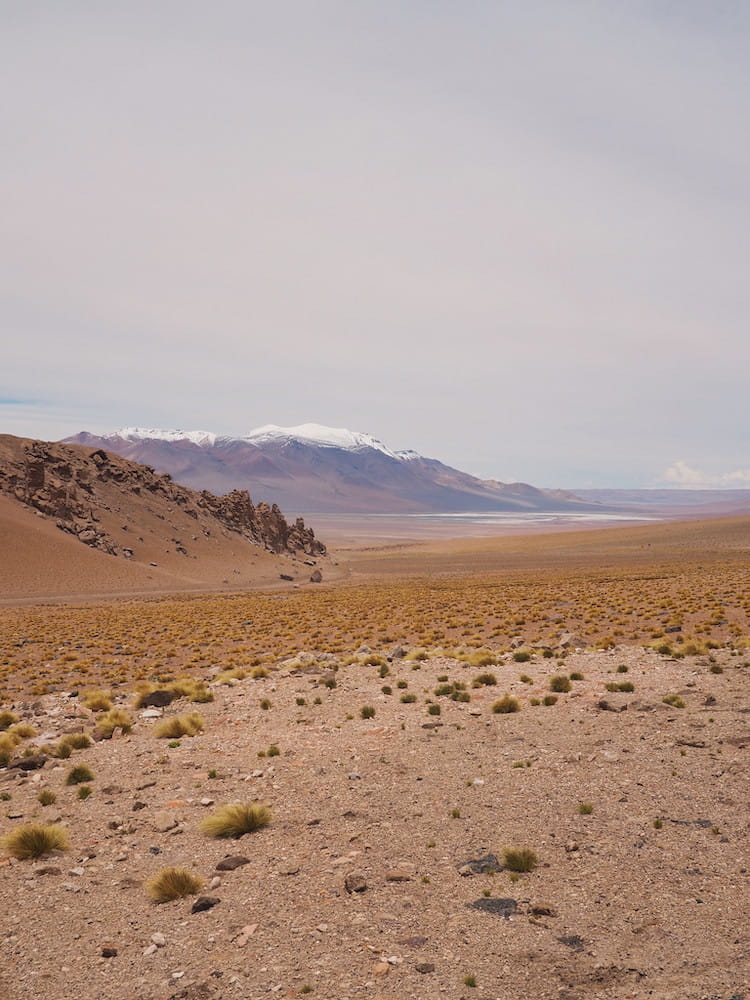 A desert road with lake and snow-capped mountains in the background