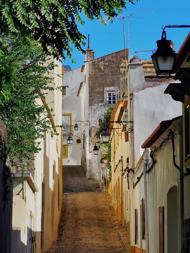 A narrow cobble-stoned street