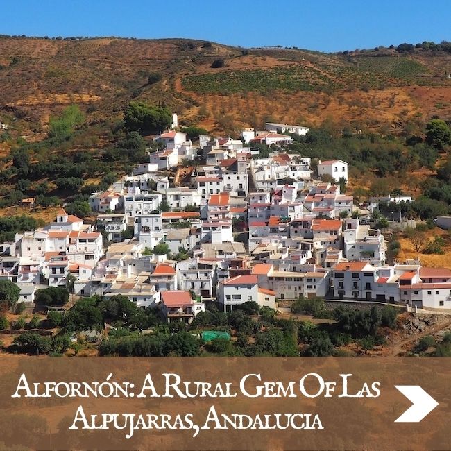 SPAIN - Alfornón, Andalucia