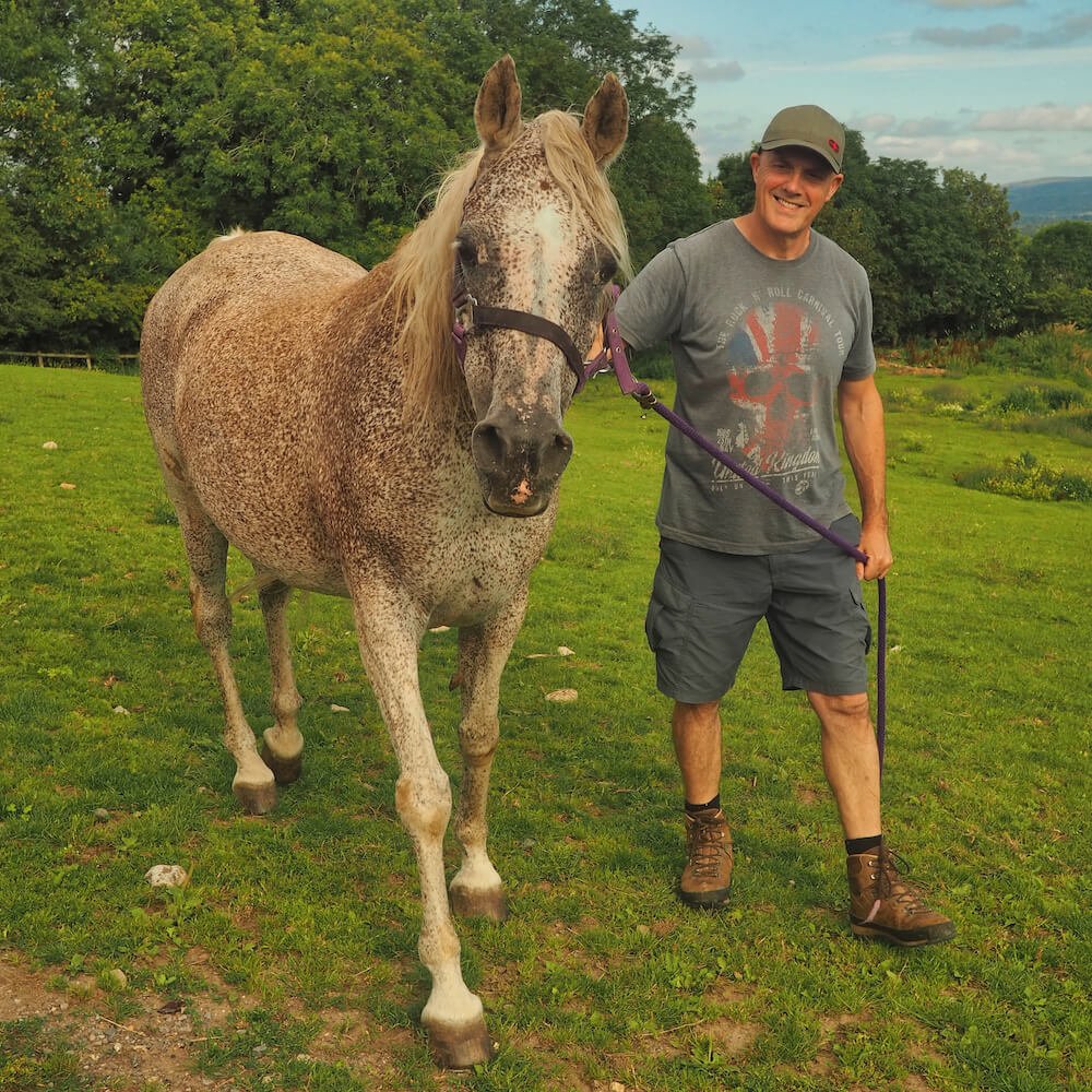 A speckled brown and white horse is led by a man in a grey tee-shirt and shorts