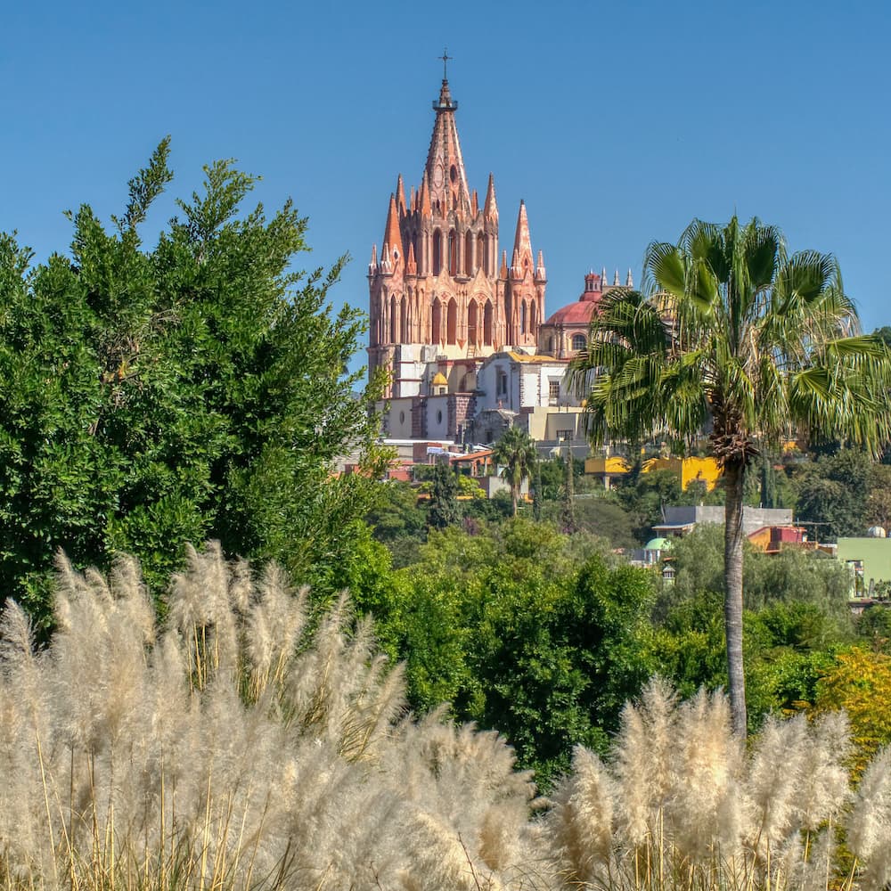Parroquia de San Miguel Archangel behind tall grasses