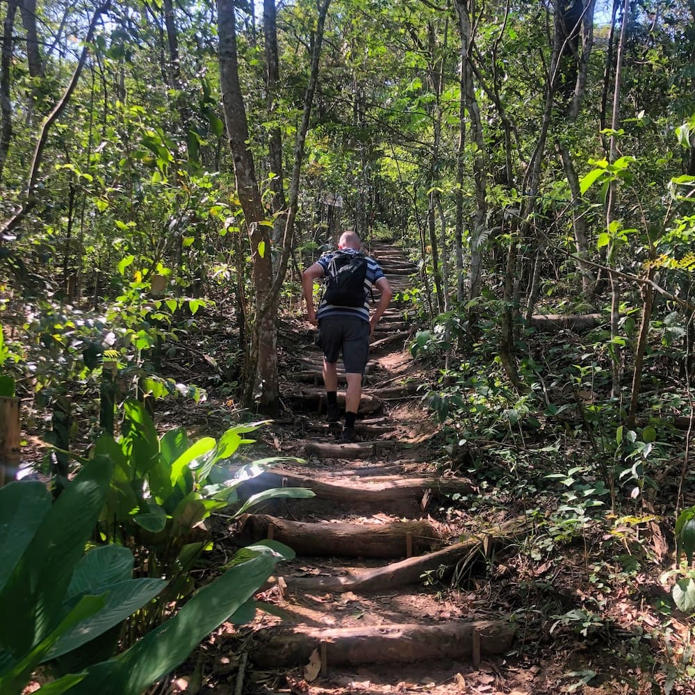 Ian walking up the Morro Dois Irmãos trail