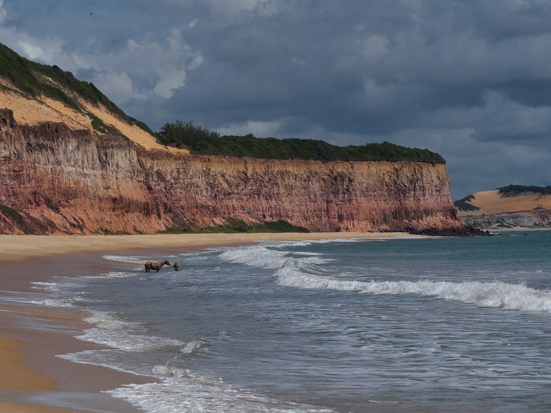 Praia dos Golphinos Pipa Brazil
