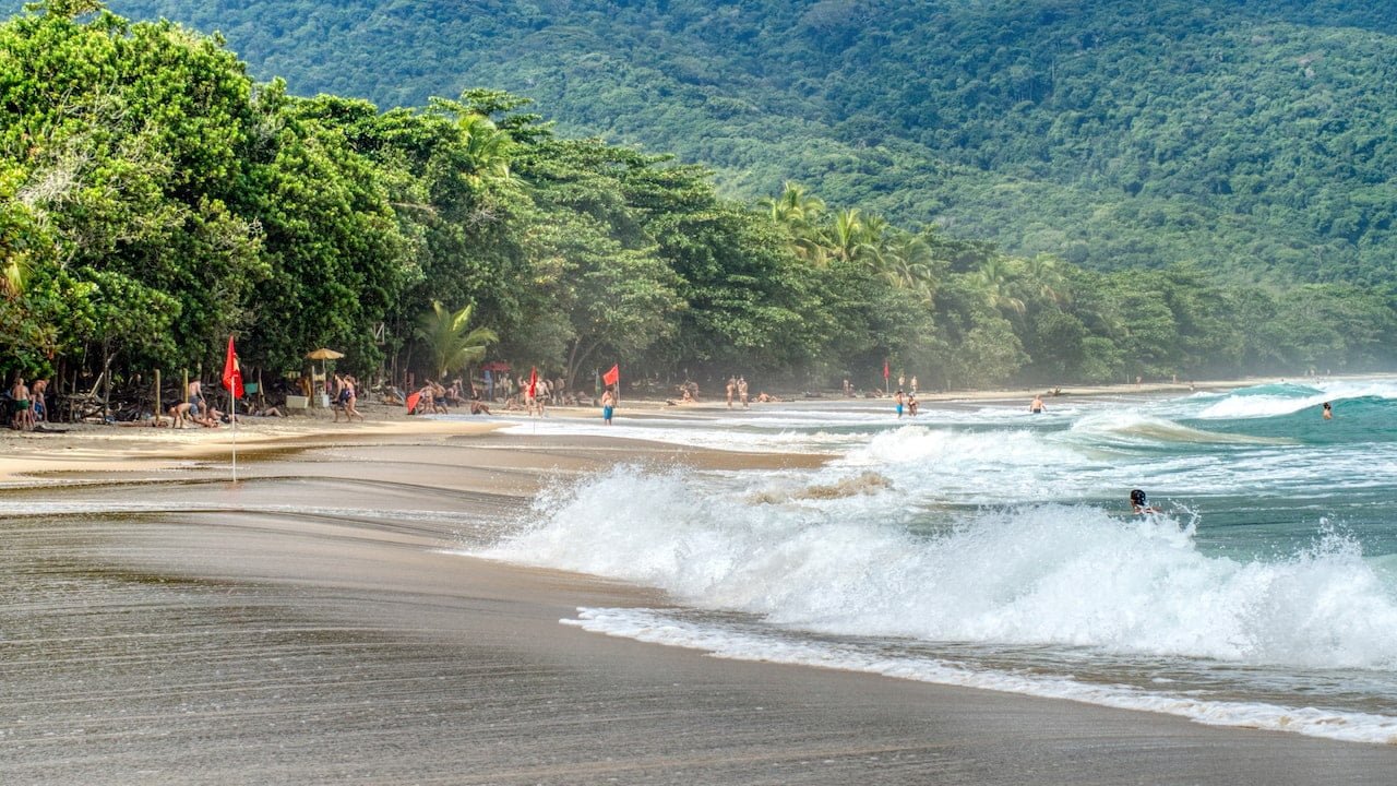 Jungle, beach and crashing waves