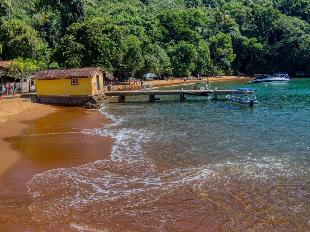 Beach with red sand surrounded by jungle